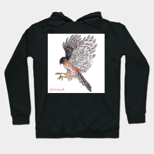 Sparrowhawk drawing Hoodie